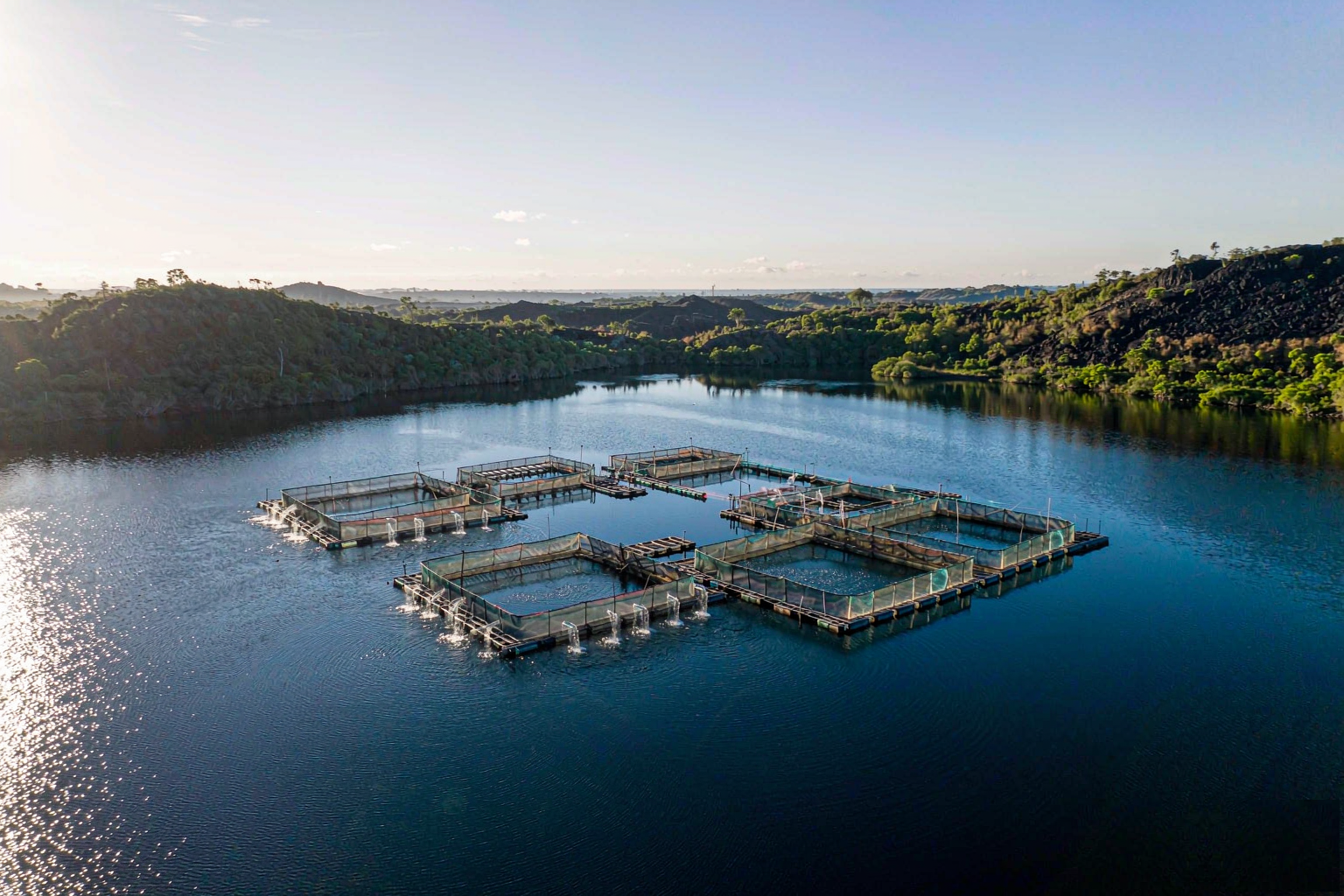 Aerial view of a modern ASC certified tilapia farm with floating cages in a tropical lake