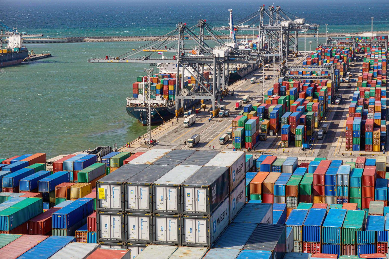 Reefer containers at a busy international seaport, symbolising global frozen seafood trade