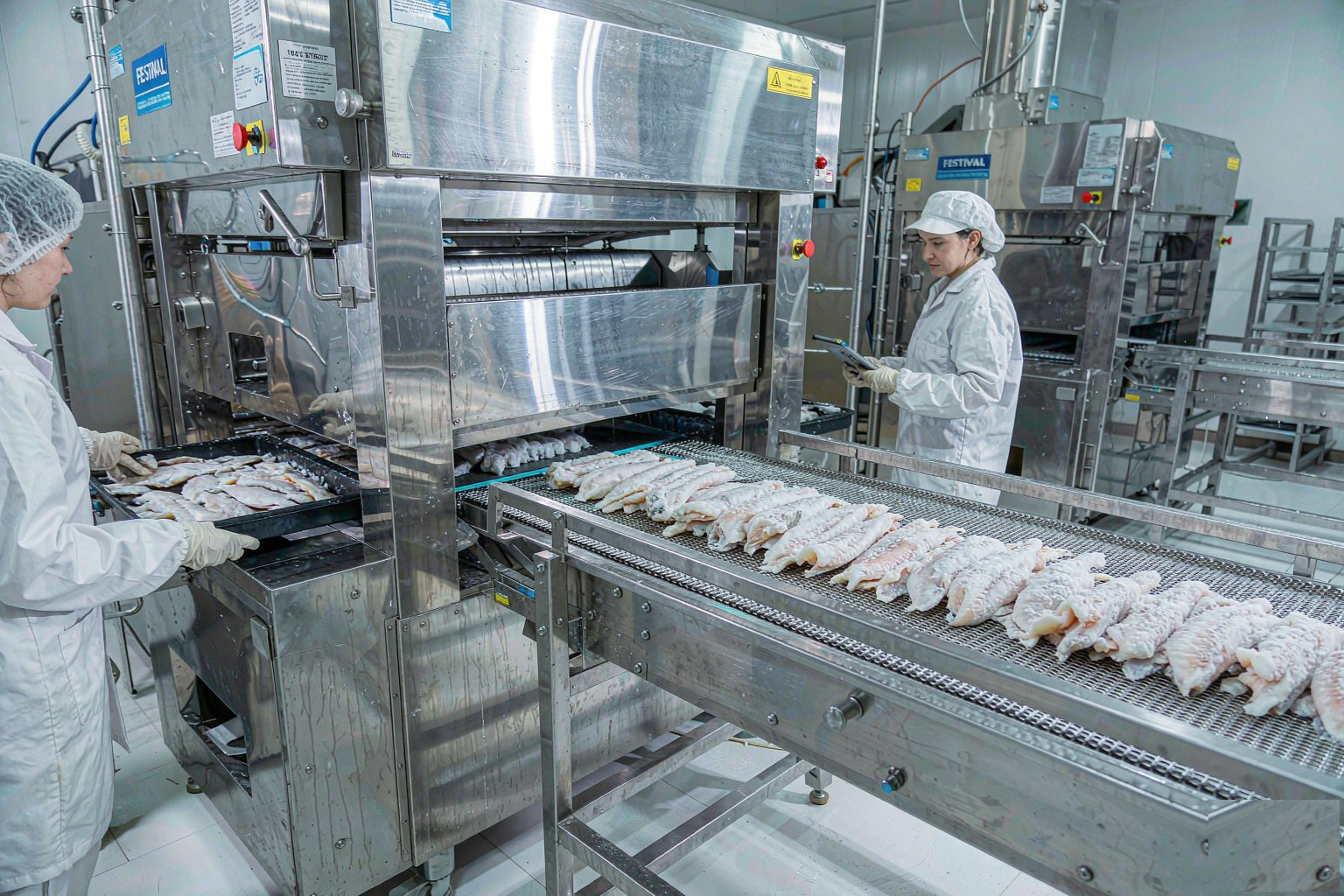 Frozen seafood processing line with IQF freezing equipment and packaged cartons ready for reefer container loading